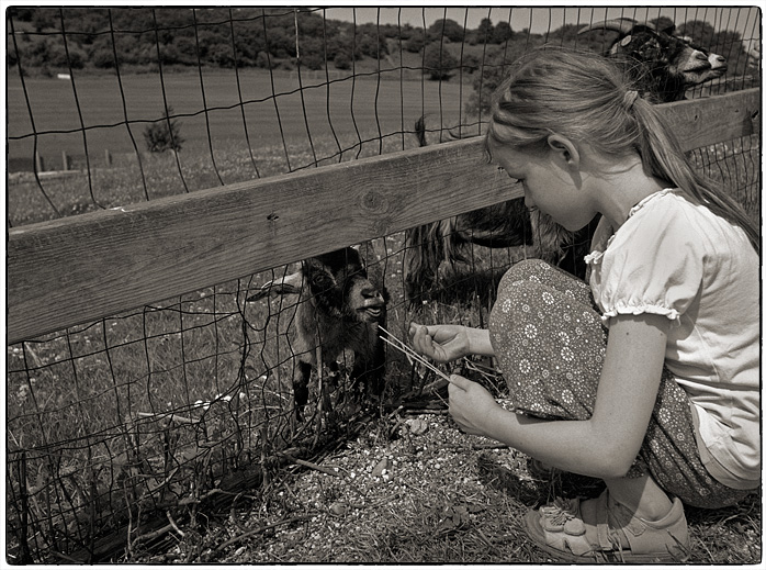 Nikkor 28/3.5