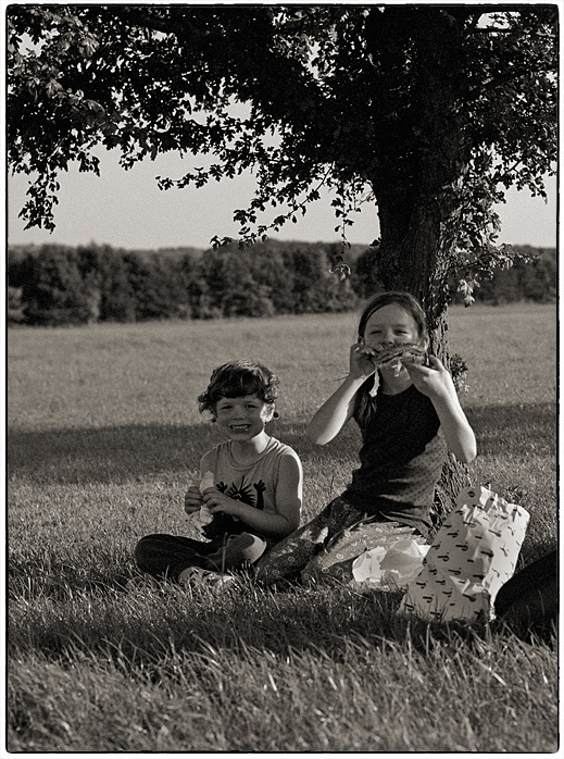 Nikkor 50/1.4 (Cropped)