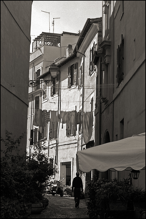 Elmar 50/2.8 (cropped)