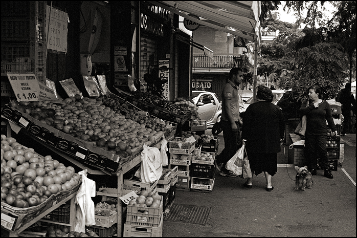 Elmar 50/2.8